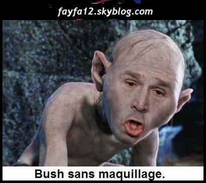 � bush � par torres-joe